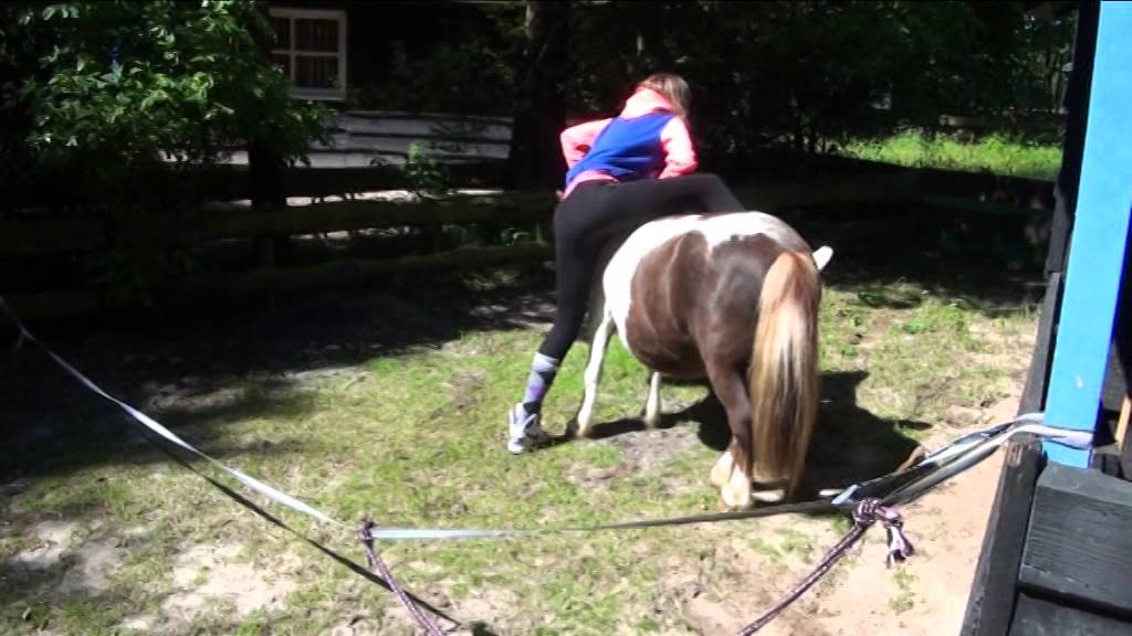 Ponyparkcity