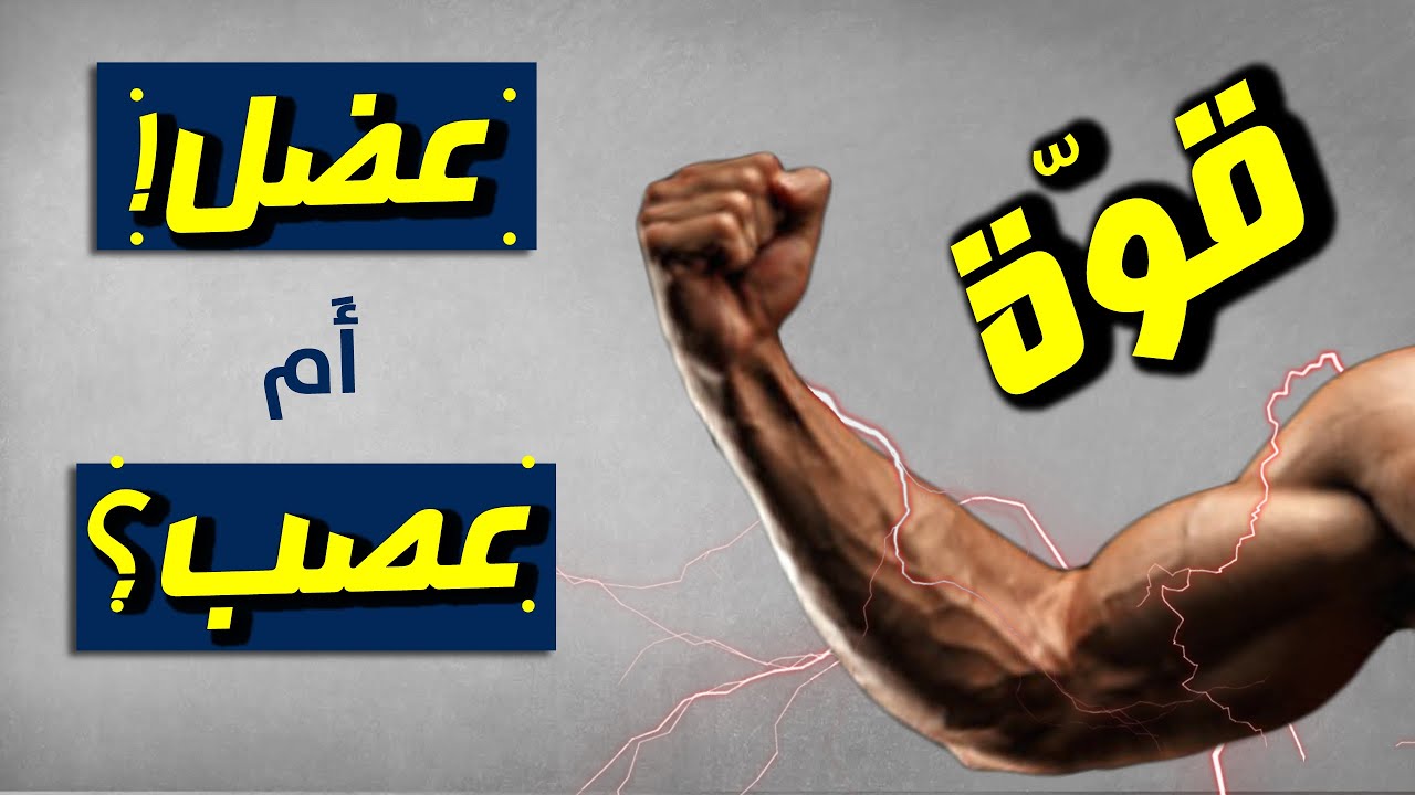 5 خطوات لزيادة القوة | ما الفرق بين قوة العصب وقوة العضل ؟ | تمارين القوة العضلية  💪🏻