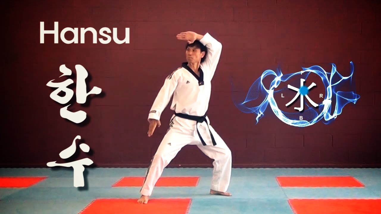 WT Taekwondo Black Belt Poomsae Hansu | 품새 한수 | TaekwonWoo