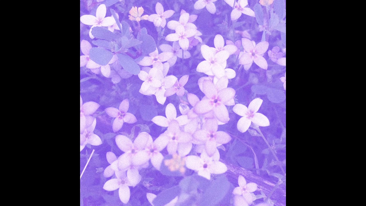 Useless : Useless III