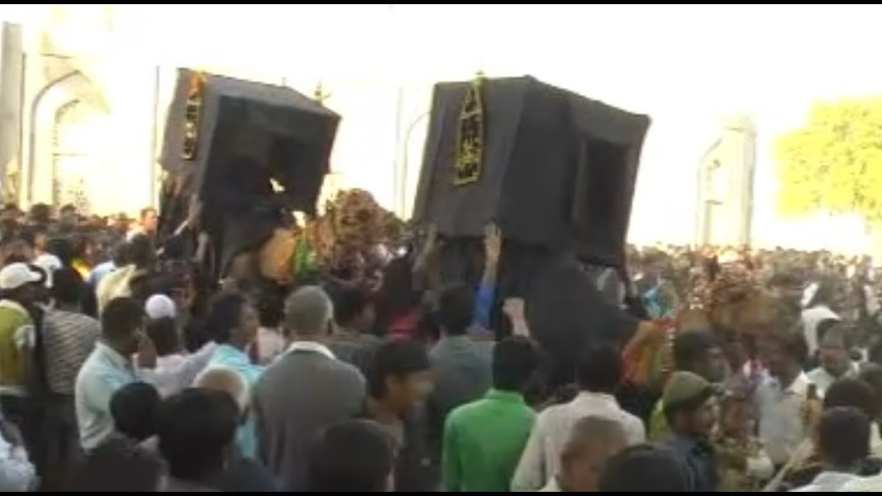 Julus-e-Zuljanah & Amari  | Azadari Program 2011-1432 | Kanodar-Gujarat (India)