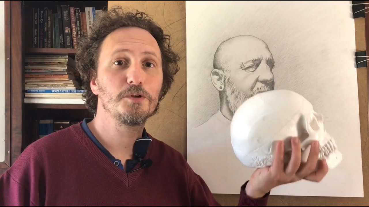 Ritratto a Matita - La vista frontale (estratto della lezione sull&rsquo;anatomia del cranio)