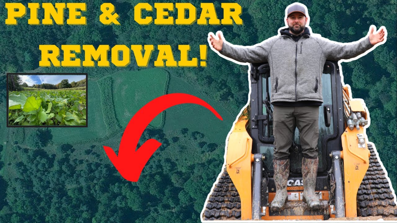 Easiest Way To Clear NEW Food Plots, Pine/Cedar Clearing