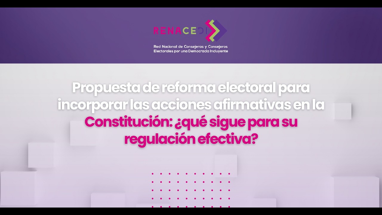 MESA PANEL Propuesta de Reforma Electoral para incorporar las acciones afirmativas a la Constitución