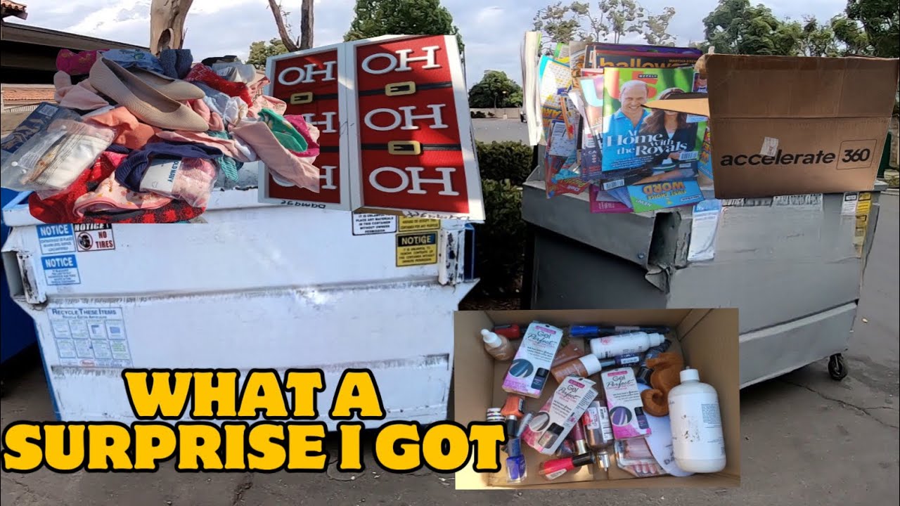 YOU'LL NEVER GUESS WHAT I FOUND IN THIS MYSTERY DUMPSTER!!