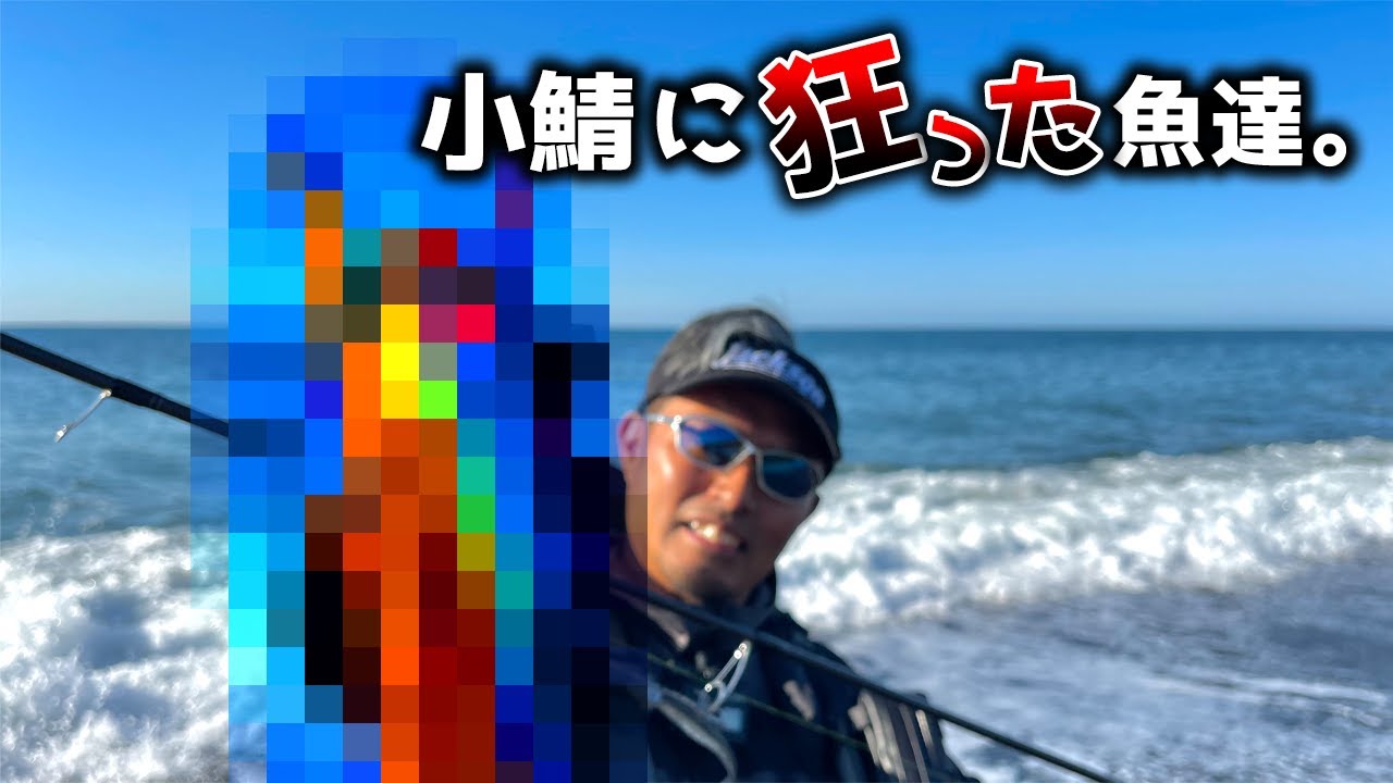 【静岡サーフ】チャンス到来！小サバがベイトの場合は100％フィッシュイーターに出会える！