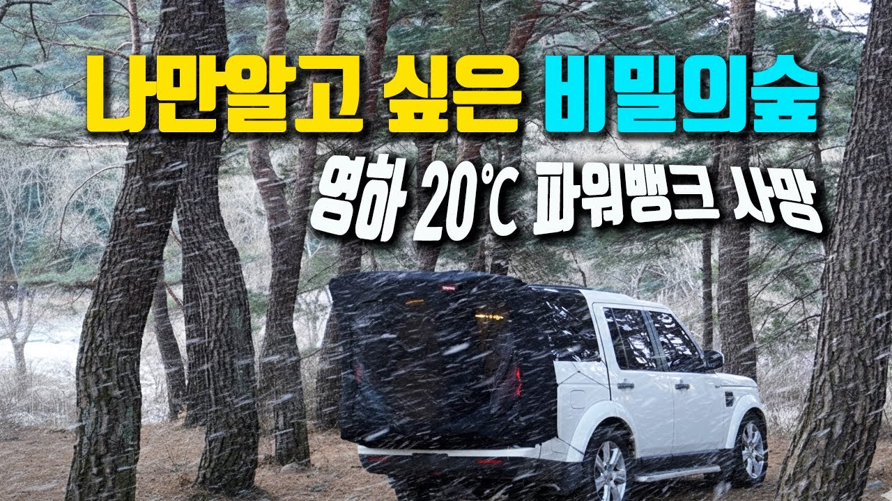 영하 20도 비밀의 숲 차박, 파워뱅크 고장에 강풍까지.. 그래도 장소는 역대급 노지 차박지, camping