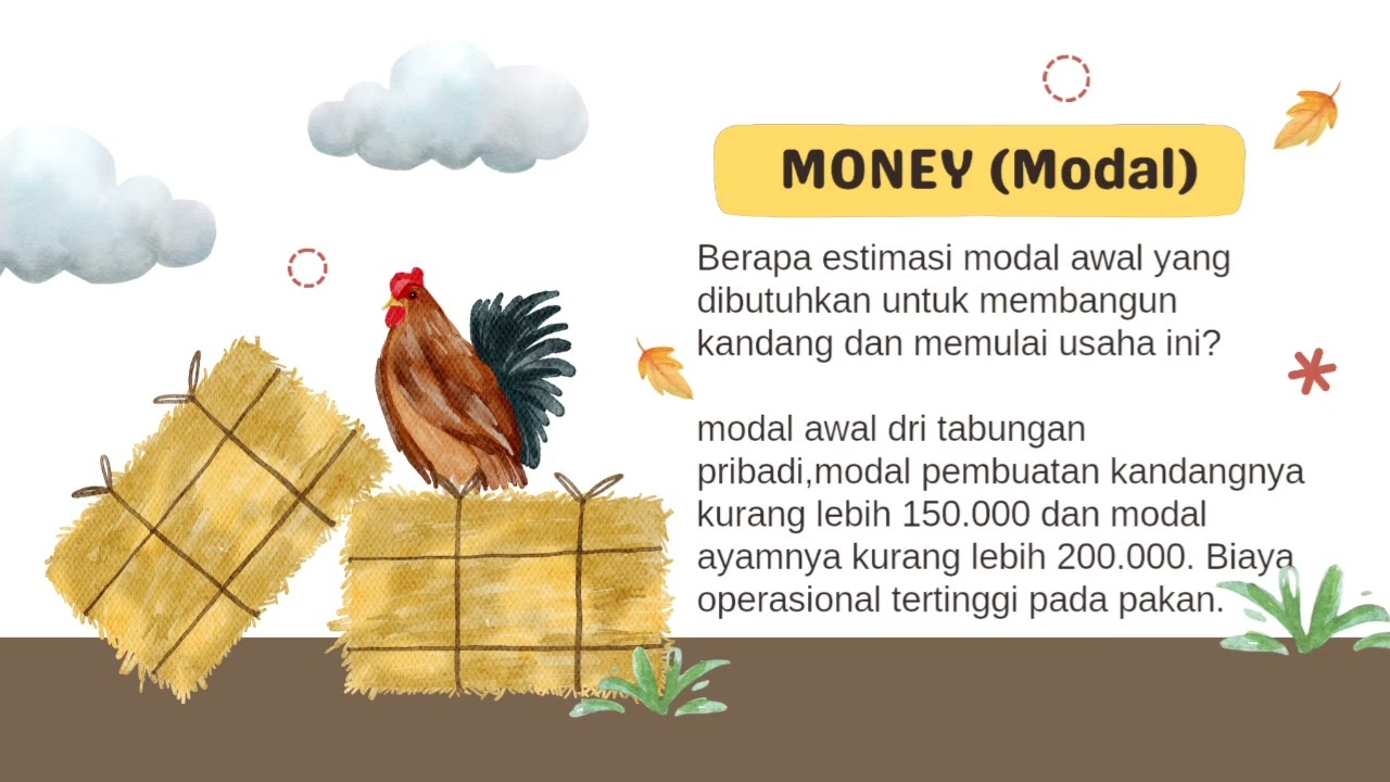 Tugas PKWU (Observasi Budidaya Peternakan Ayam || Irna Puji Lestari [19] ) 
