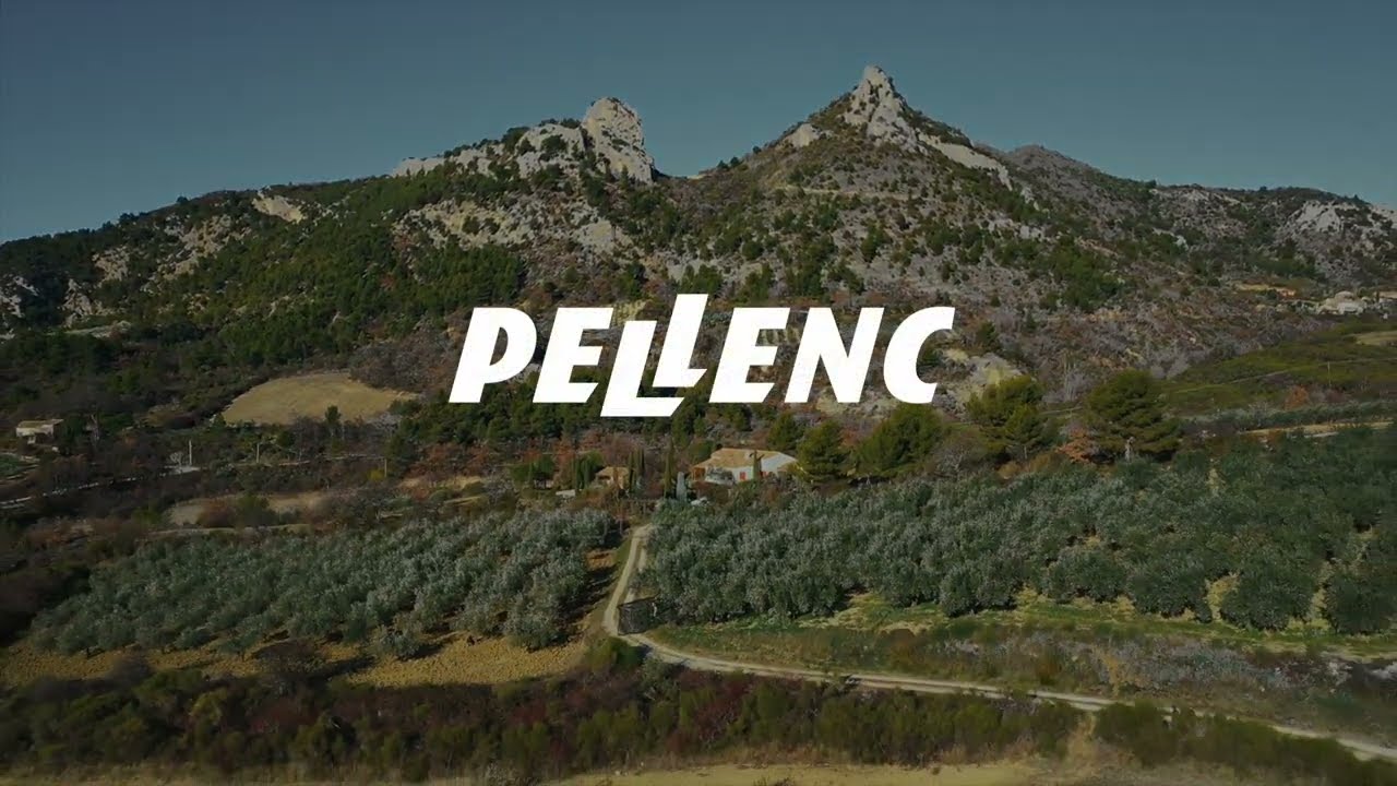 PEIGNE VIBREUR - POWER 48 - PELLENC