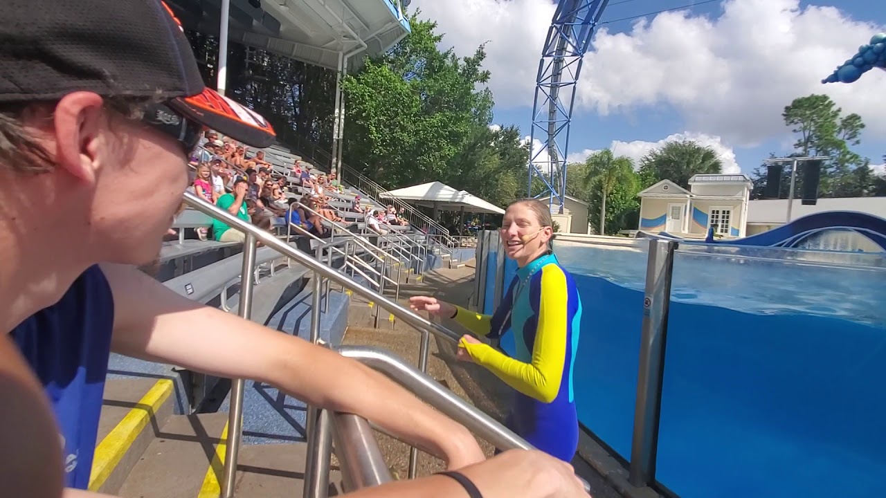 Dolphin Days @ SeaWorld Orlando 9/30/2019