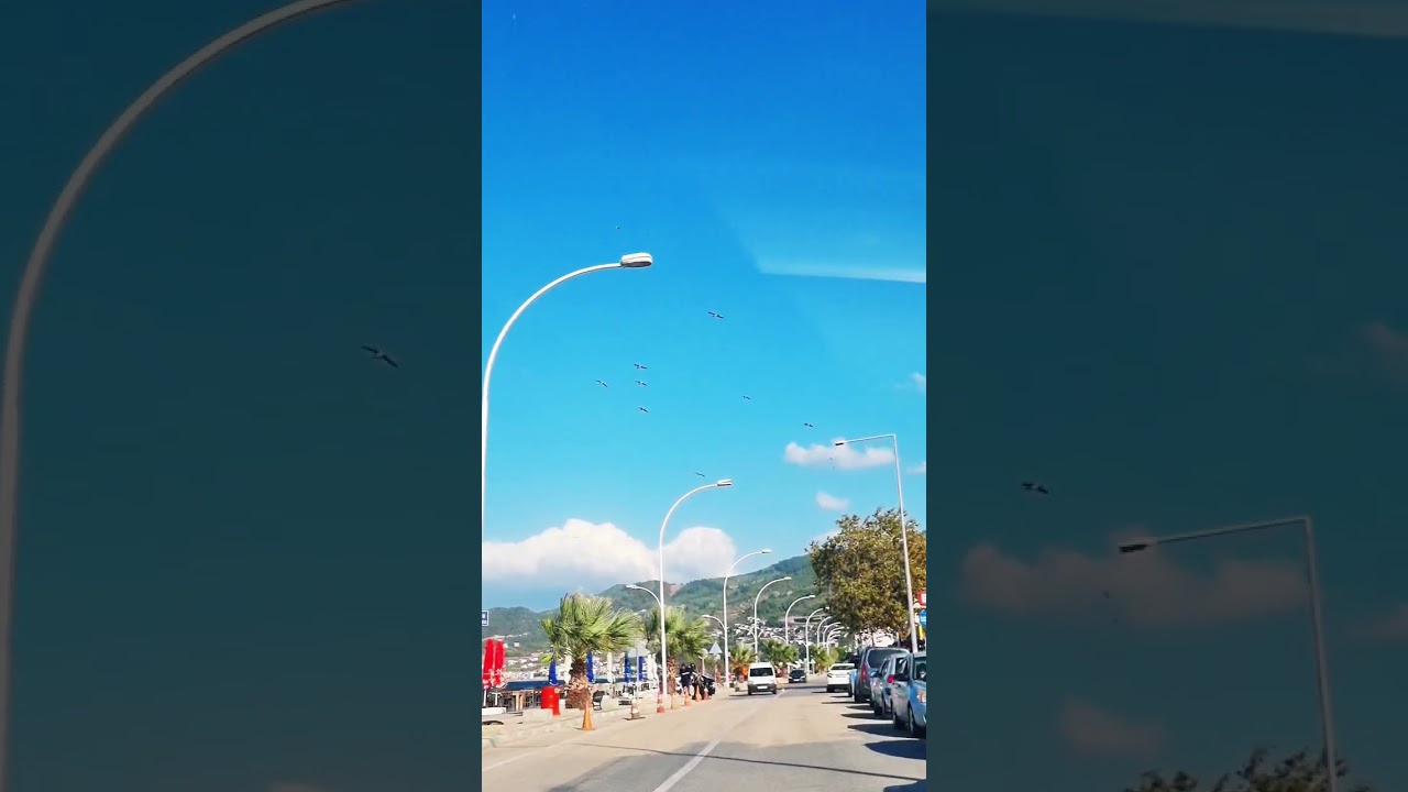 Seagulls Flying Over the Mediterranean Sea #mediterraneanliving #mediterraneanlife