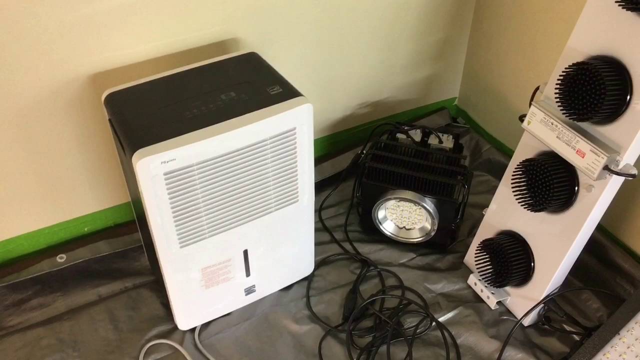 Spectrum King + Pacific Light Concepts + Mars LED GROW LIGHTS