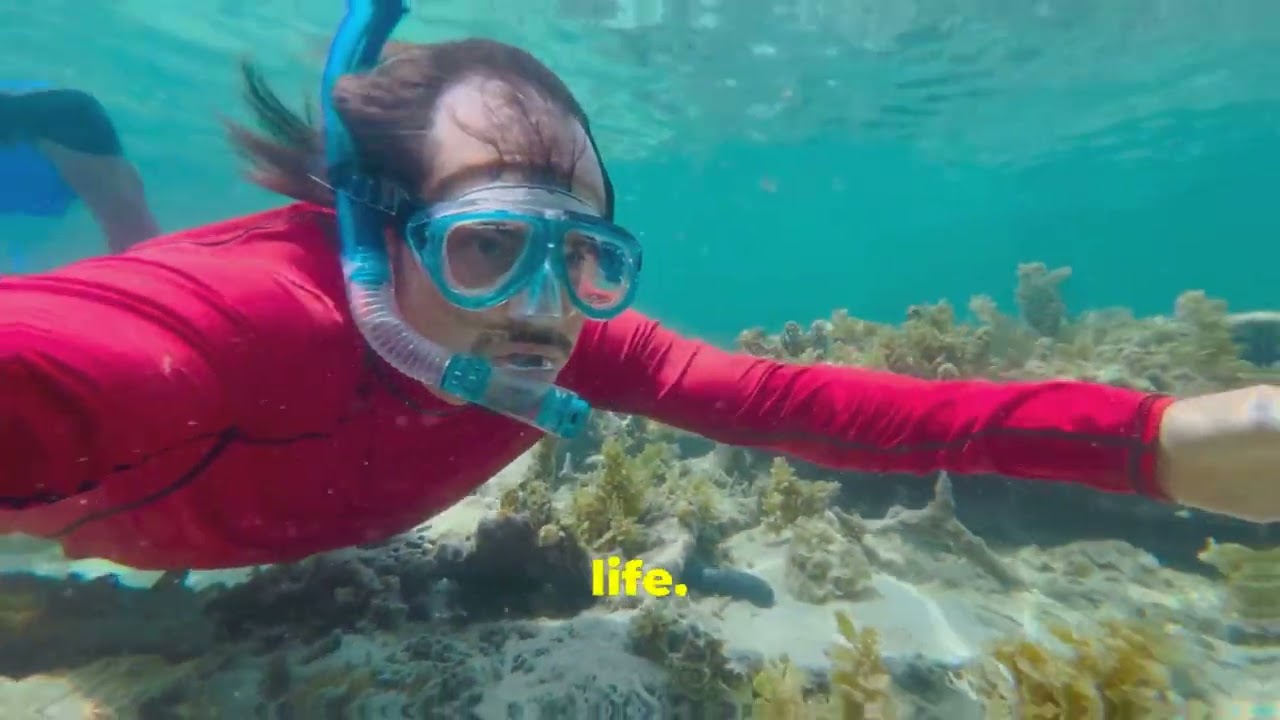 June 2024 Travel Guide: Top Destinations! #travel #destination #travel2024