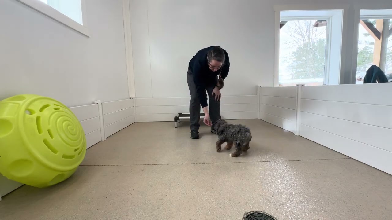 Maizey Training Session 01/28