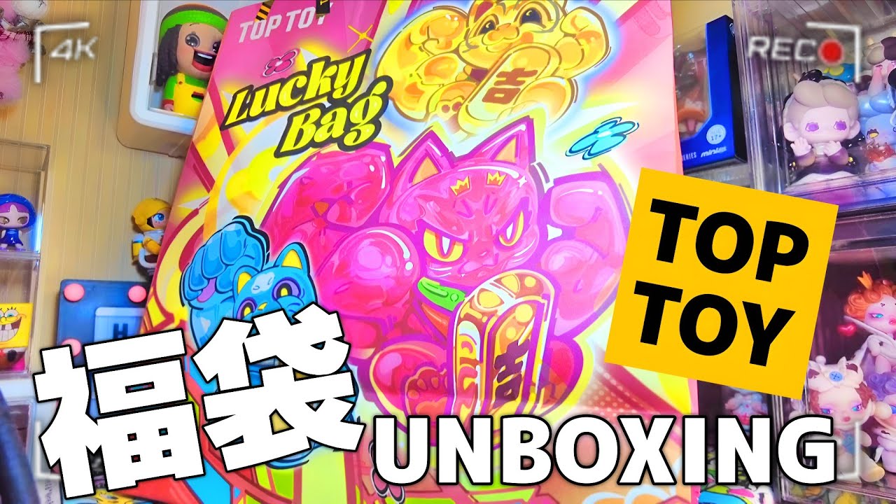 【TOPTOY】初めてのTOPTOY Lucky Bag🎁⋆* もう福袋の季節だねUNBOXING⋆͛📢⋆ #530