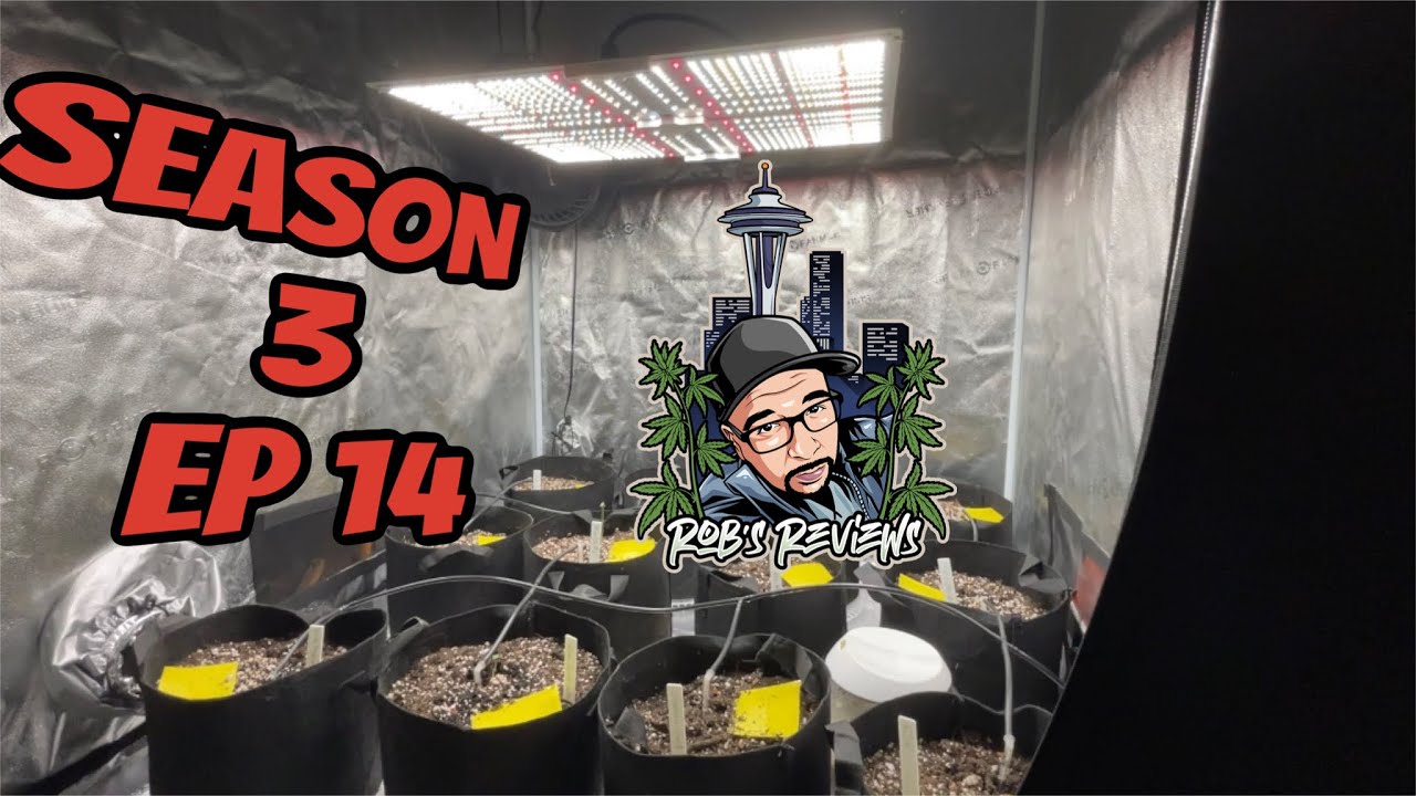 SPIDER FARMER GROW SERIES SF400 & 4x4
