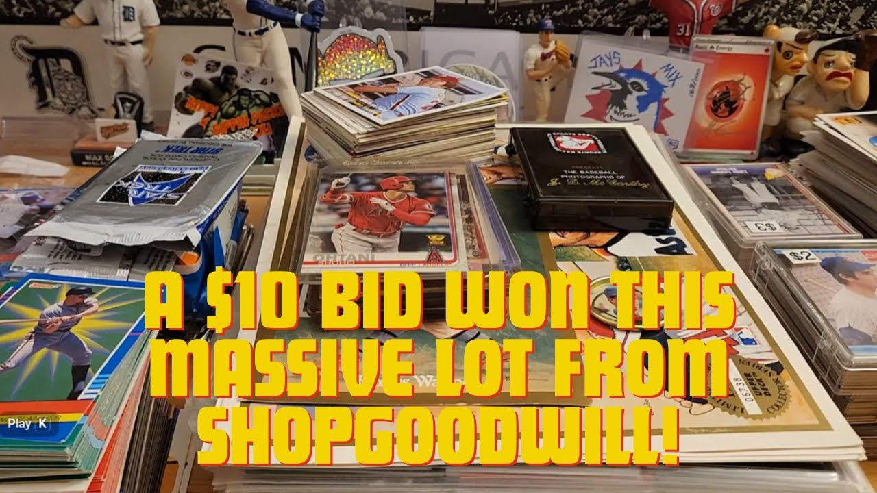 I Won This Huge Lot from ShopGoodwill.com With A Bid of Just $9.99!!!