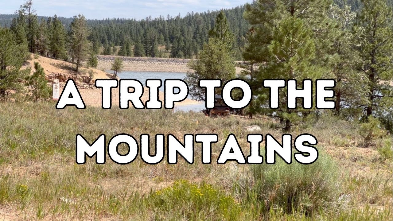 A Trip to the Mountains