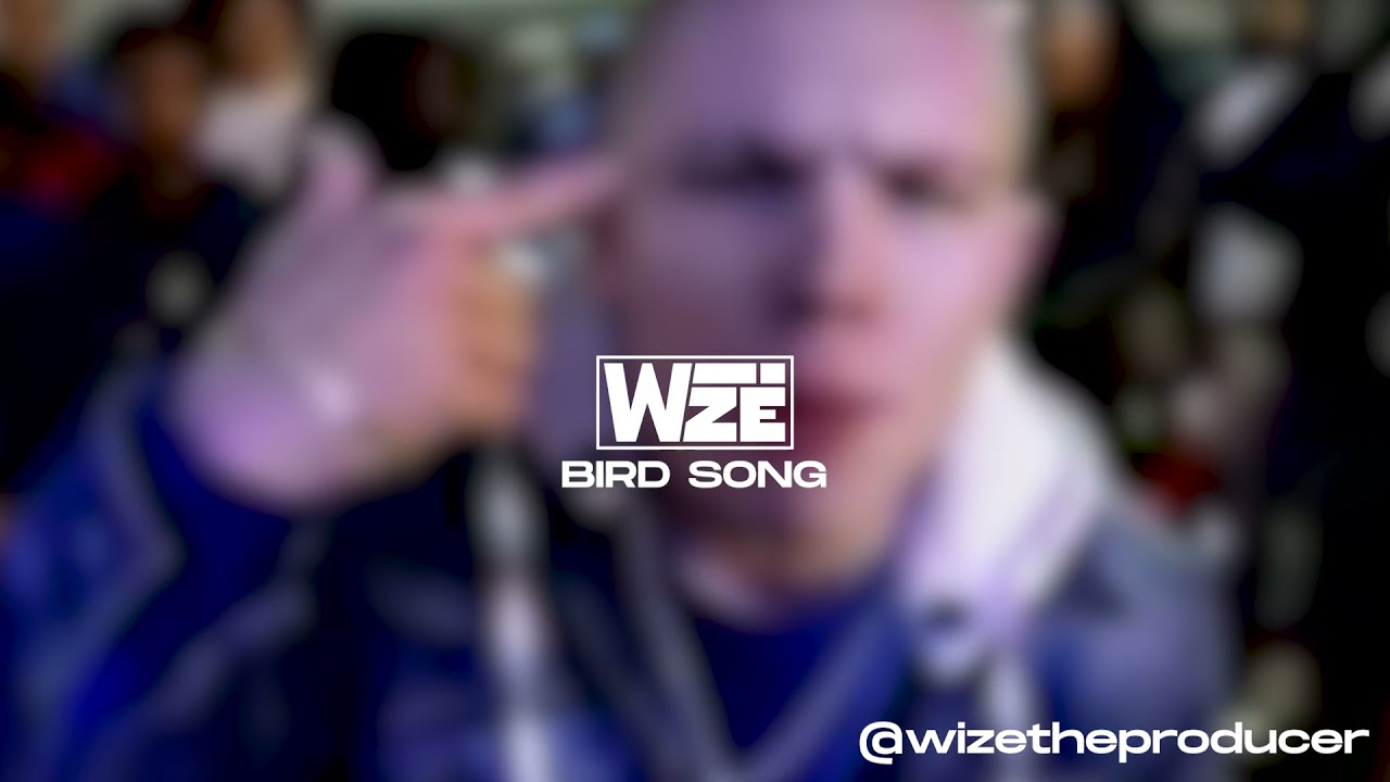 WIZE - bird song (instrumental)