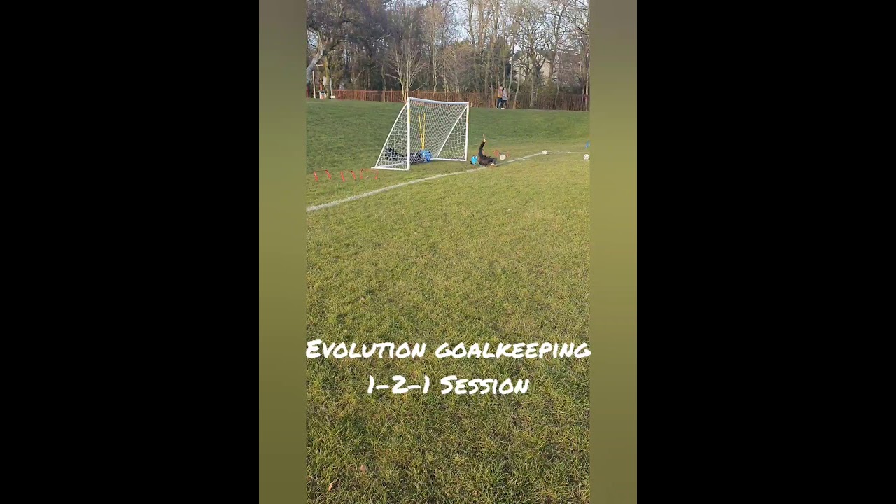 Evolution GK Academy 1-2-1