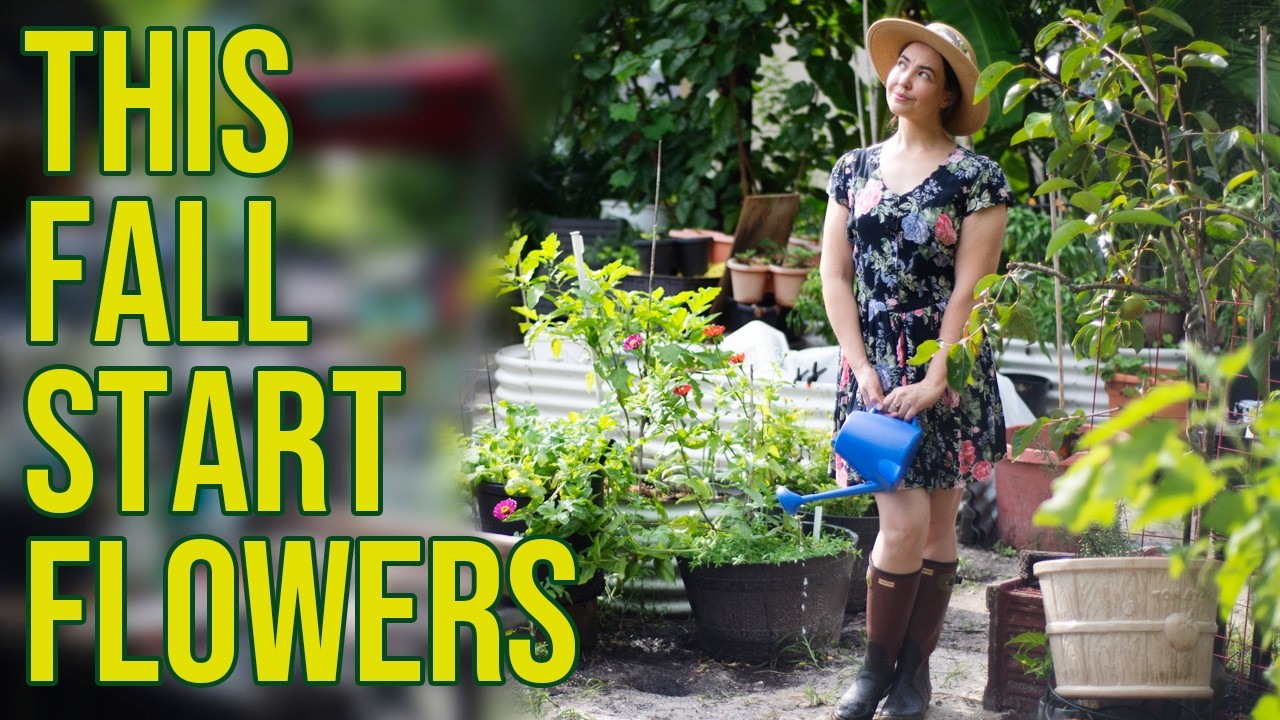 The Challenges of Starting a Flower Garden in Florida