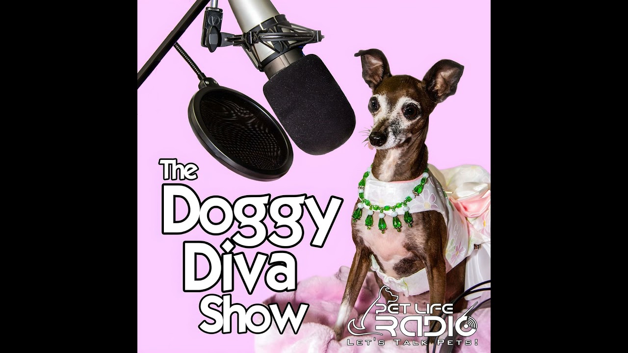 The Doggy Diva Show - Episode 185 The Importance of Dental Health for Pets
