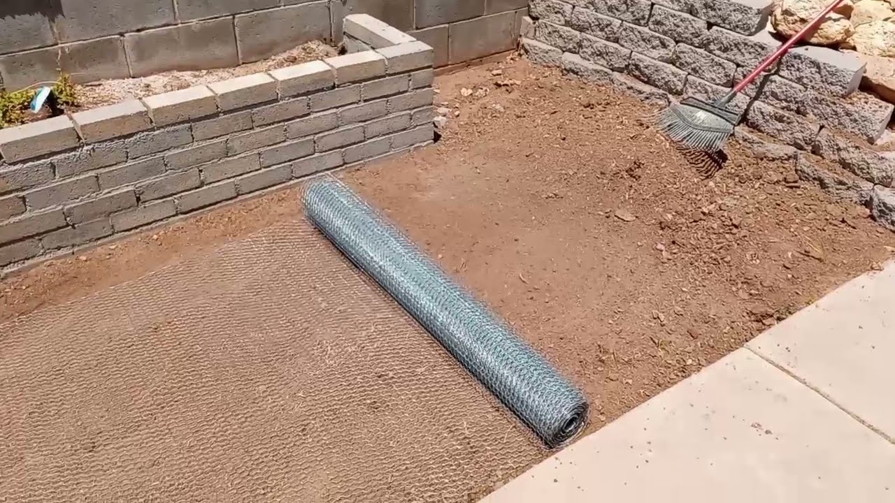 Best way to keep gophers away from new Sod | Preparing for new Grass