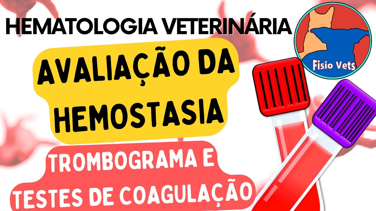 Avaliação da hemostasia | Trombograma, TP e TTPA - Medicina veterinária