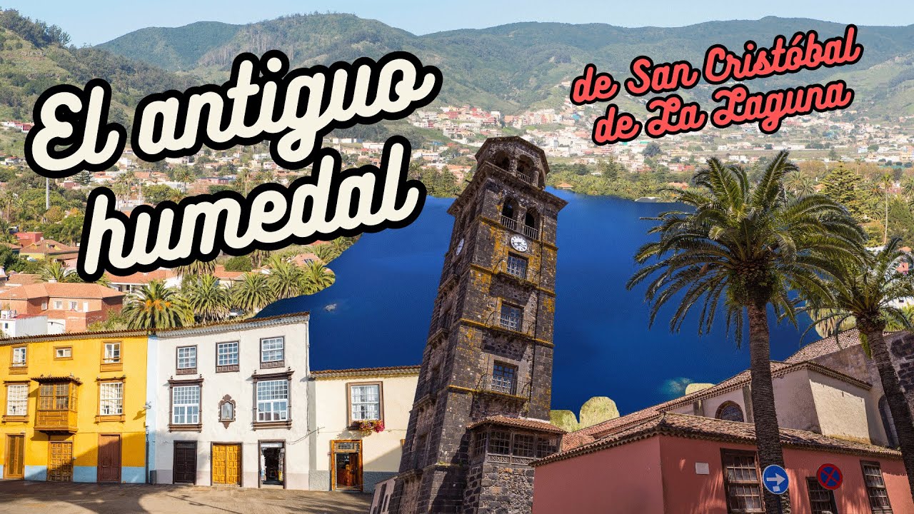Historia y presente del antiguo humedal de San Cristóbal de La Laguna