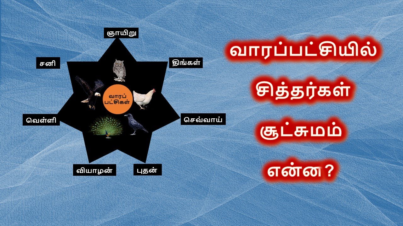 வாரப்பட்சியில் சித்தர்களின் சூட்சும ரகசியம் 10 | பஞ்சபட்சி சாஸ்திரம் | PanchaPatchi Sasthram 10