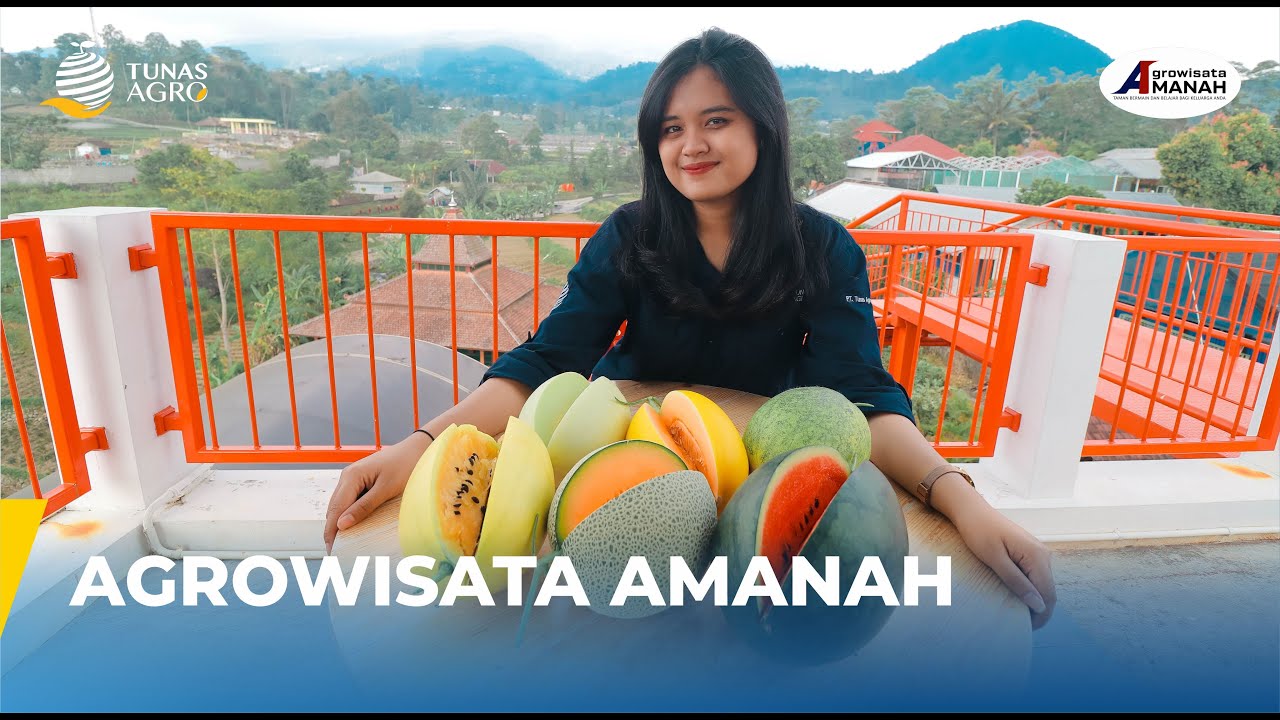 AGROWISATA AMANAH | WISATA PETIK BUAH DAN SAYUR PREMIUM TUNAS AGRO