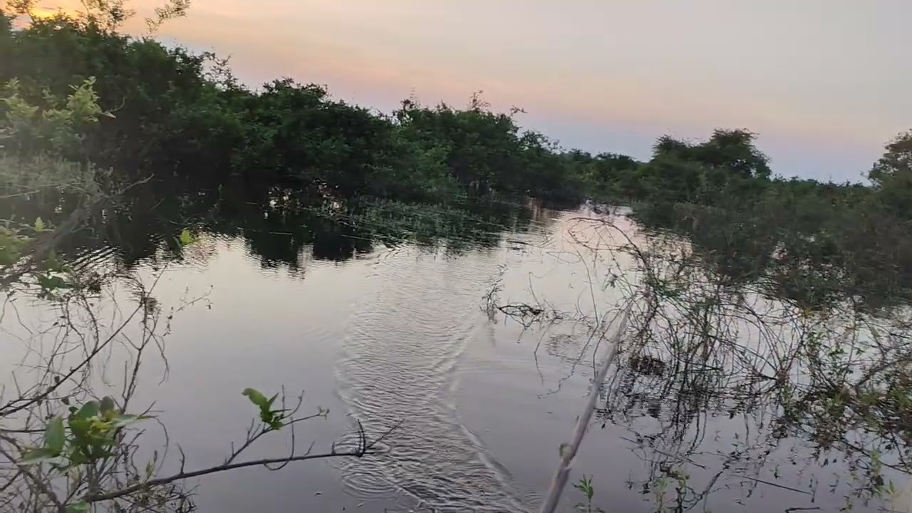 fishing every day bigfish
