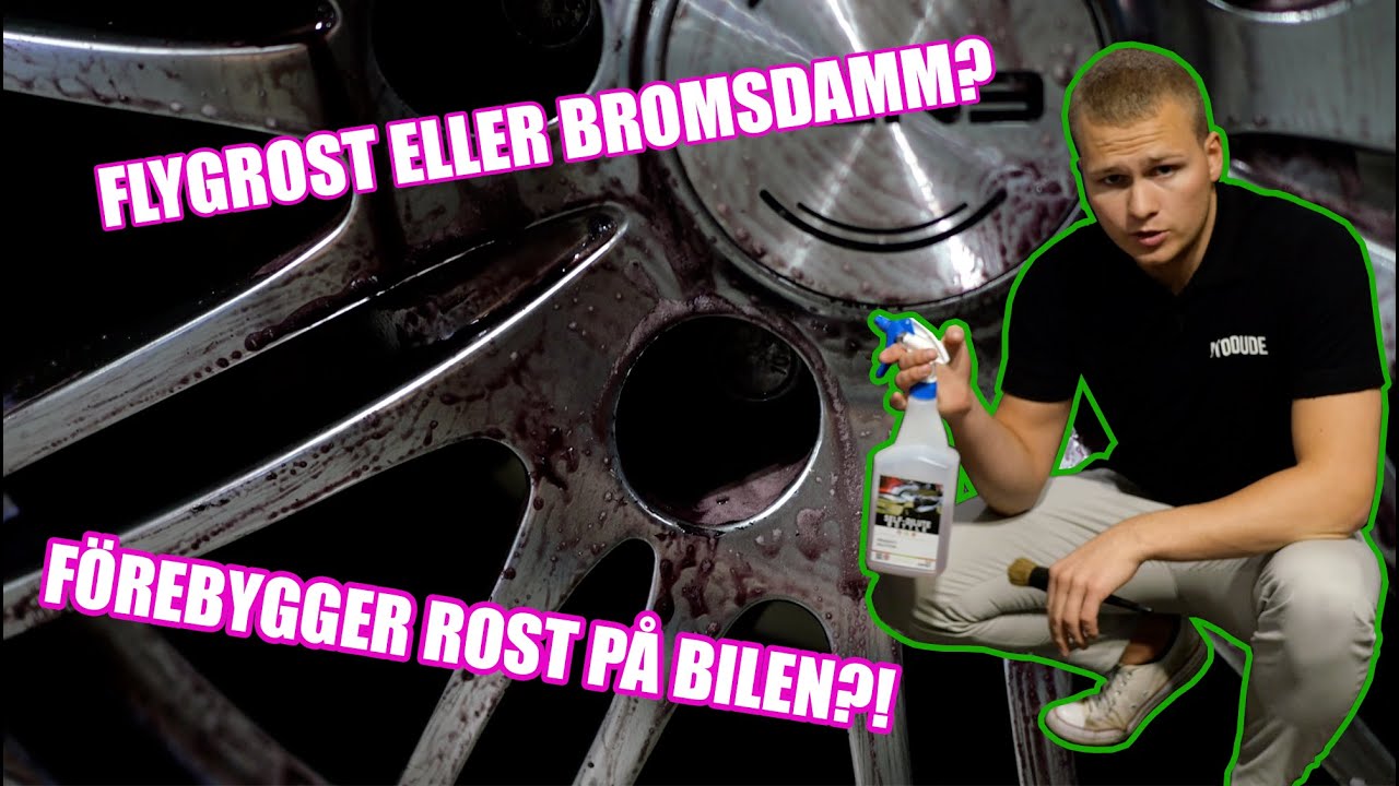 VAD ÄR FLYGROST?