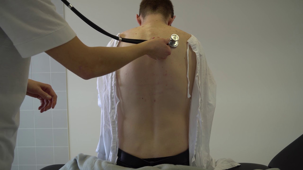 Poslechové body plic