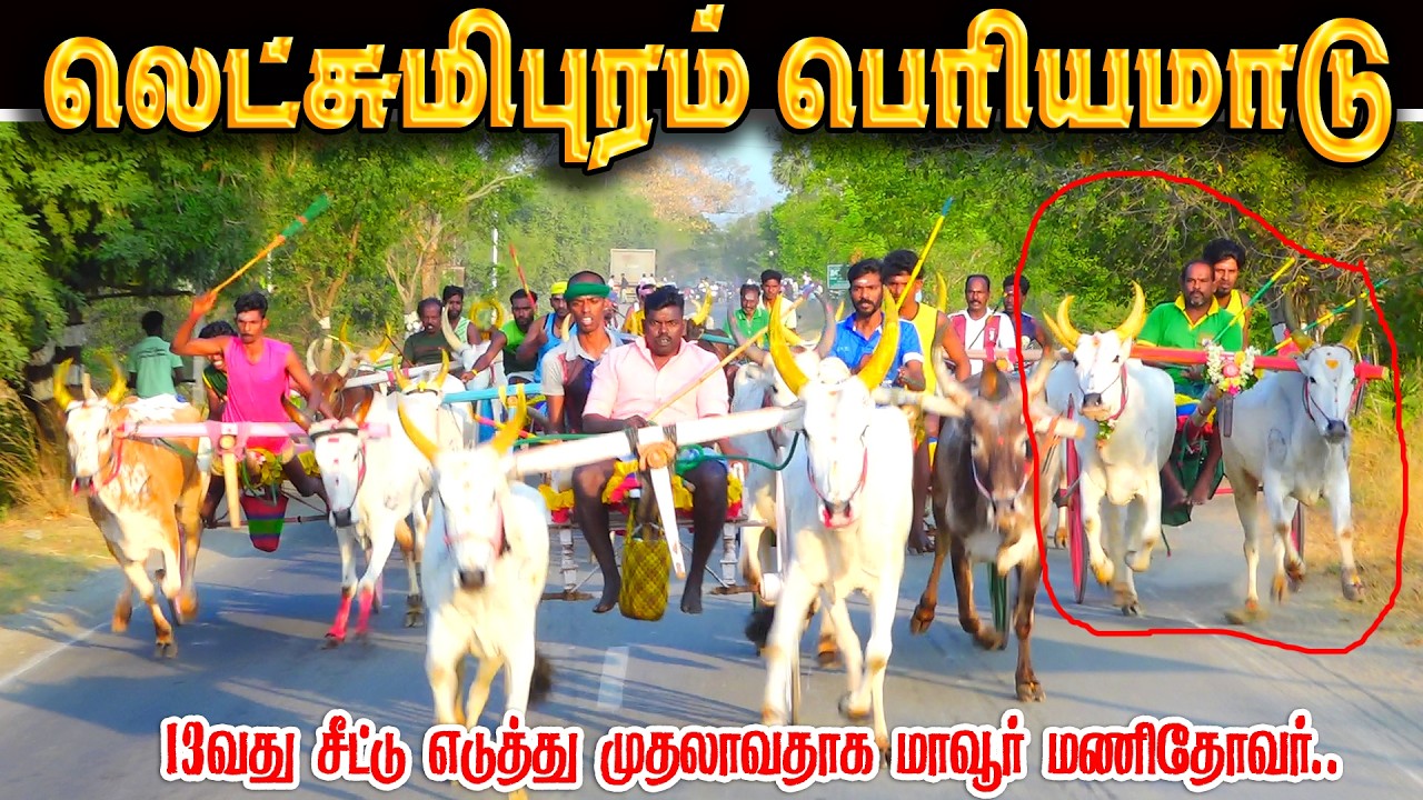 லட்சுமிபுரம் பெரியமாடு பந்தயம் 24.02.2026