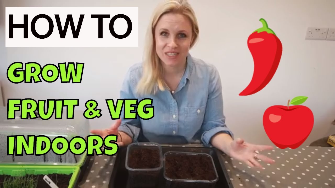 How to grow vegetables indoors without any equipment - getting started