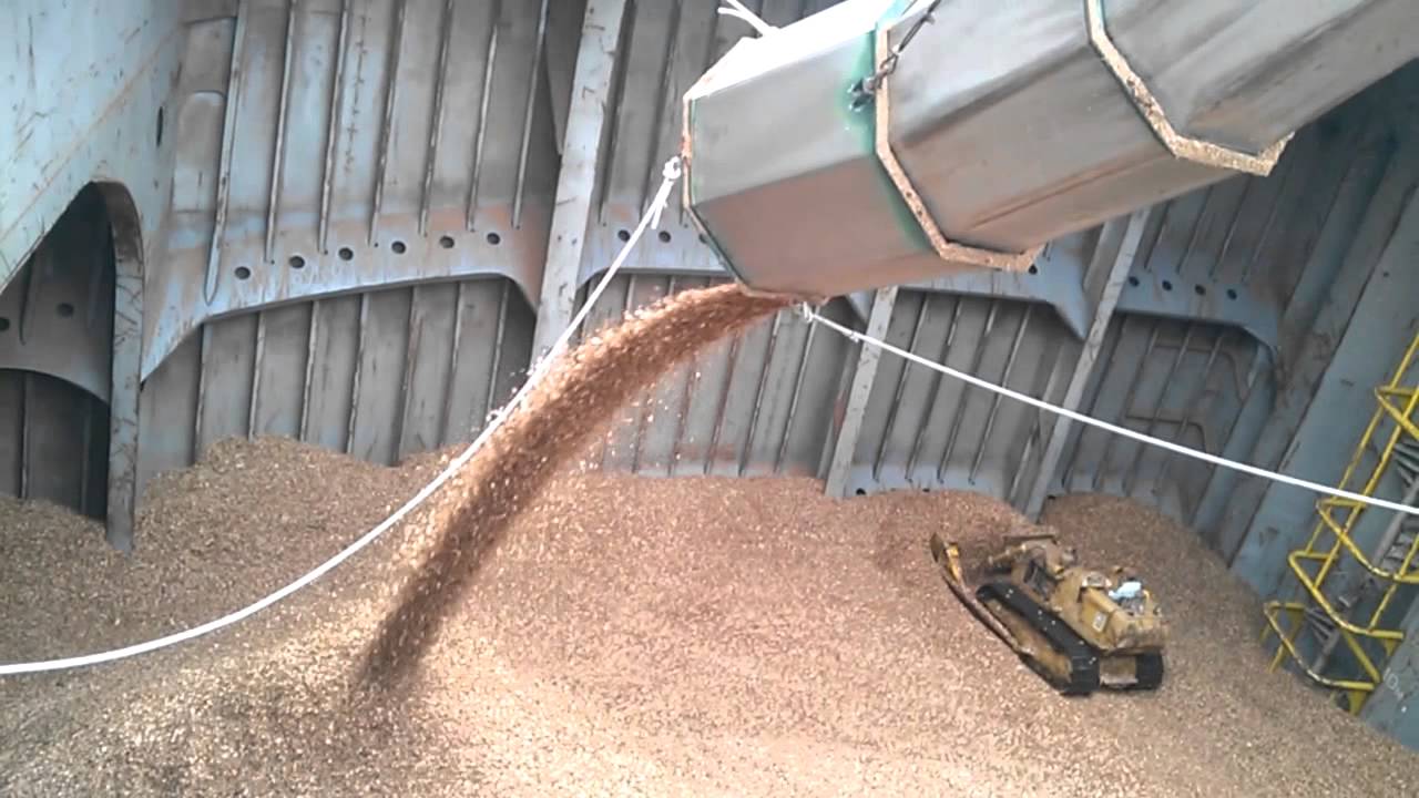 Loading woodchips by shore conveyor