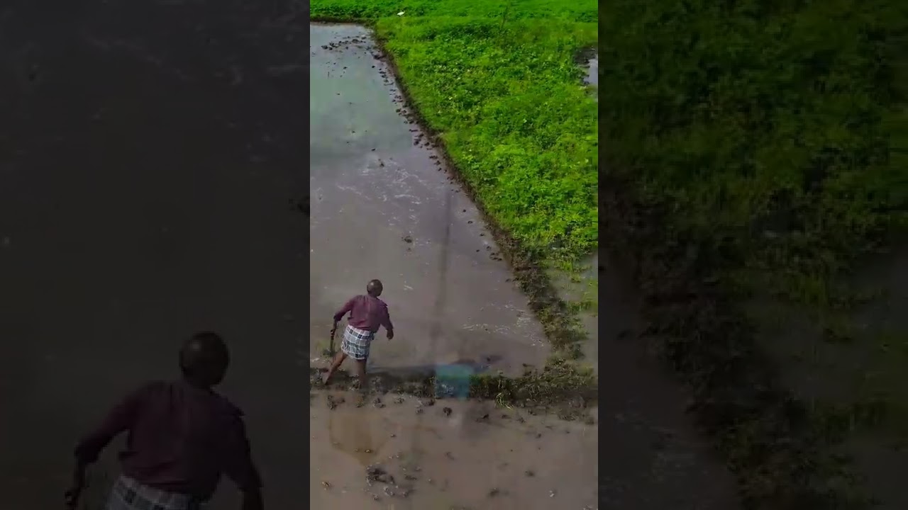 Agriculture work 4k Drone footage 2022