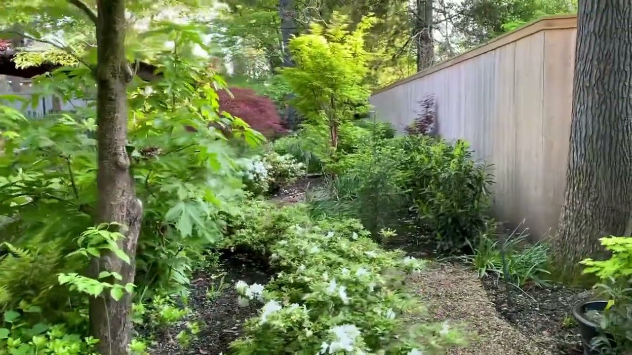 Spring garden walk, secret garden path