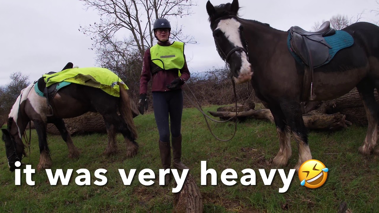 Gallop hack, bucking and jumping!! | GOPRO
