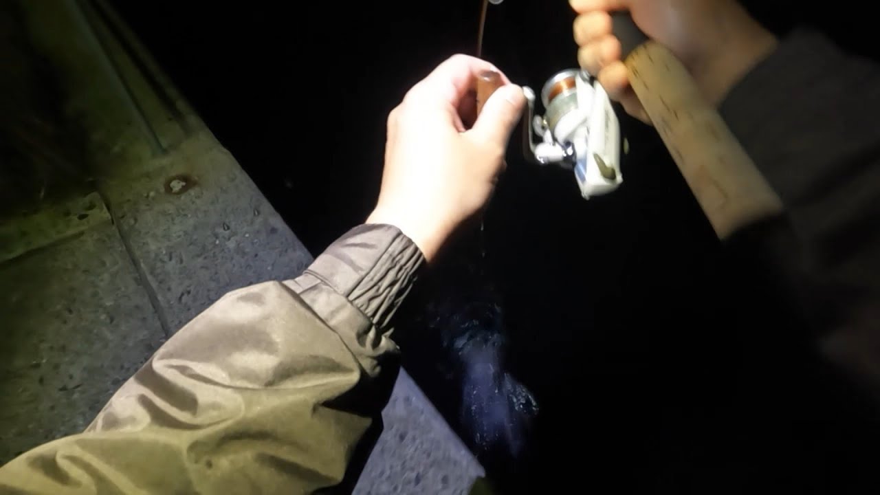 【鱒レンジャーで漁港の大物を釣る】