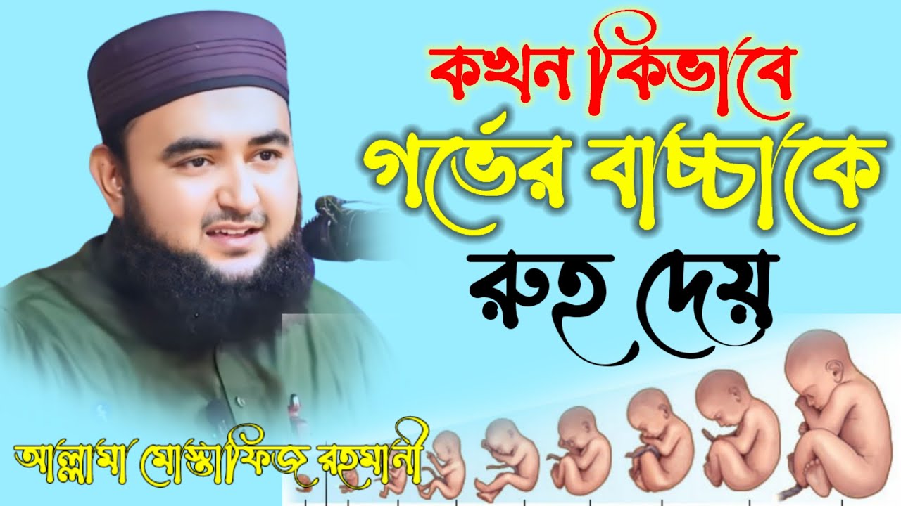 কখন কিভাবে গর্ভের বাচ্চাকে রুহ দেওয়া হয়,, মাওলানা মুস্তাফিজ রাহমানী নতুন ওয়াজ ২০২৪