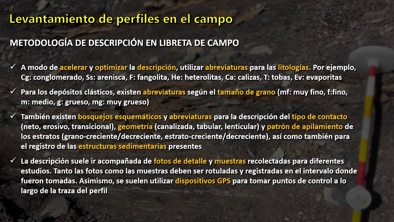 TP N°4: Perfiles Sedimentológicos