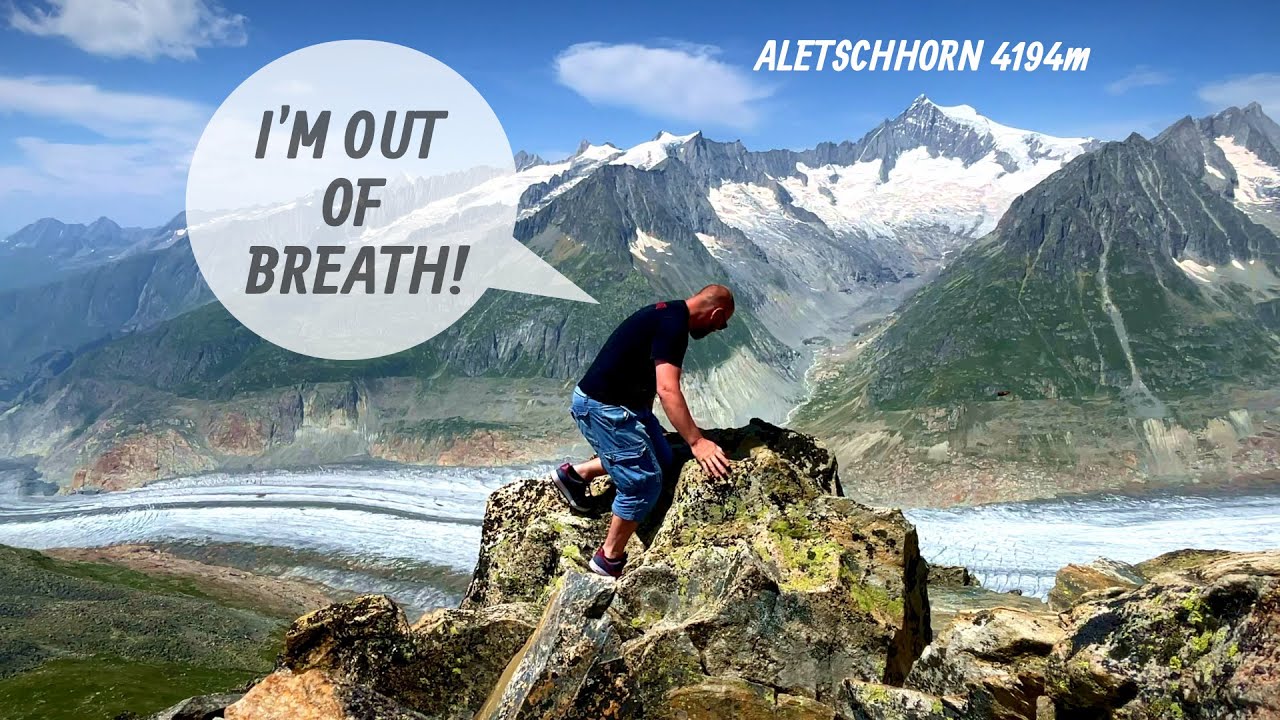 The Great Aletsch Glacier. Fiescheralp. Eggishorn.