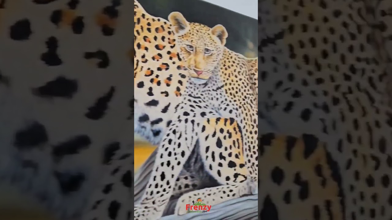 Accommodation at Diani beach front hetels info@frenzyadventures254.com +254712896360 