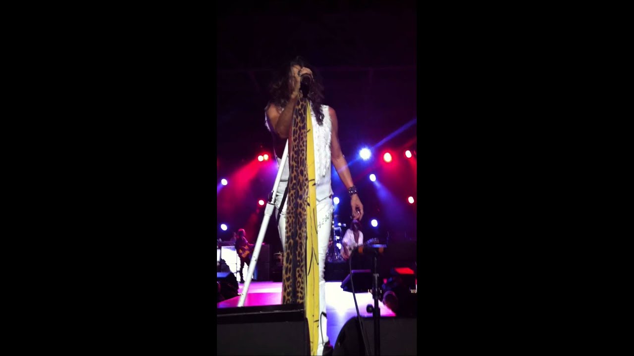 Front row Aerosmith - Best Buy Charity Gala