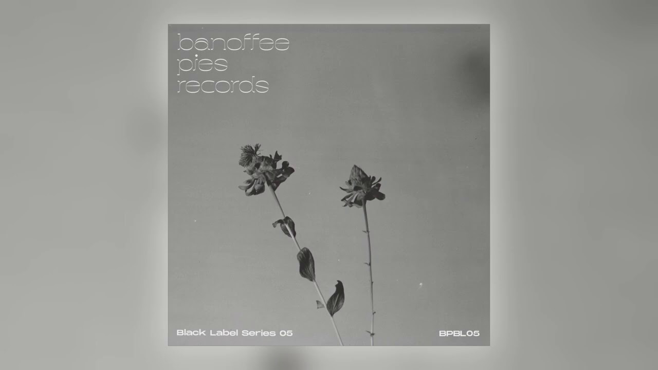 N-GYNN - Yazdah BPBL05 (Banoffee Pies Records)