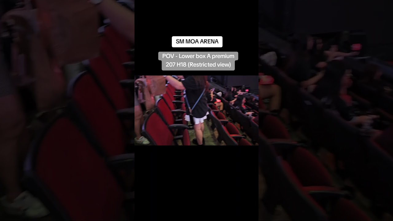 SM MOA ARENA VIEW - LOWER BOX PREMIUM A 207 H18 Restricted View #2ne1 #moaarena
