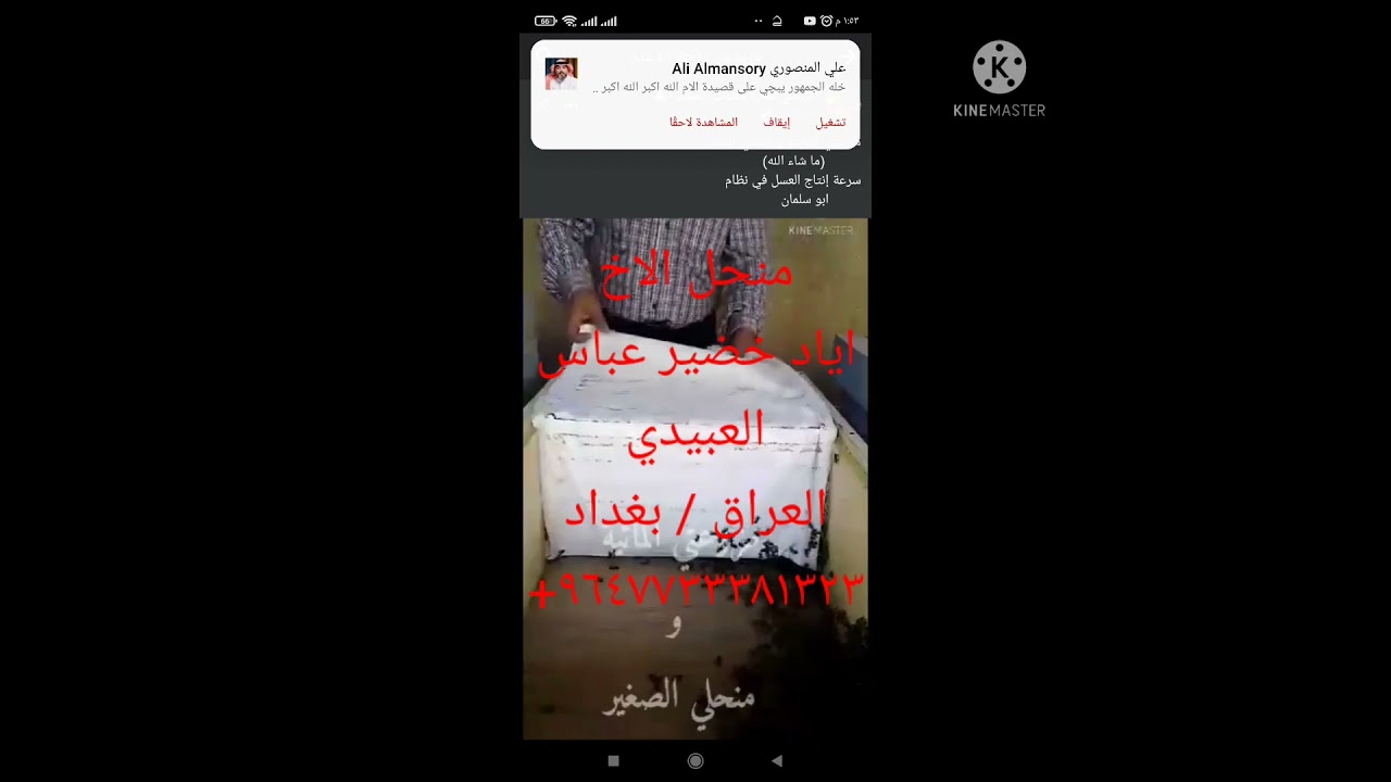 5افهم لغة النحل