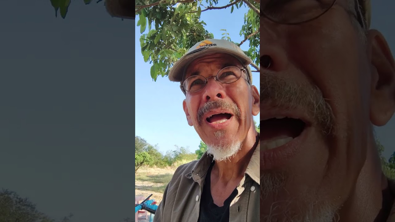 Orchard solar and irrigation system update